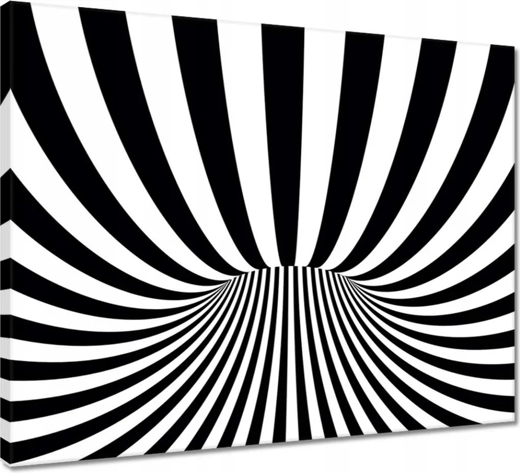 Vászonkép 50x40 Absztrakt fekete-fehér