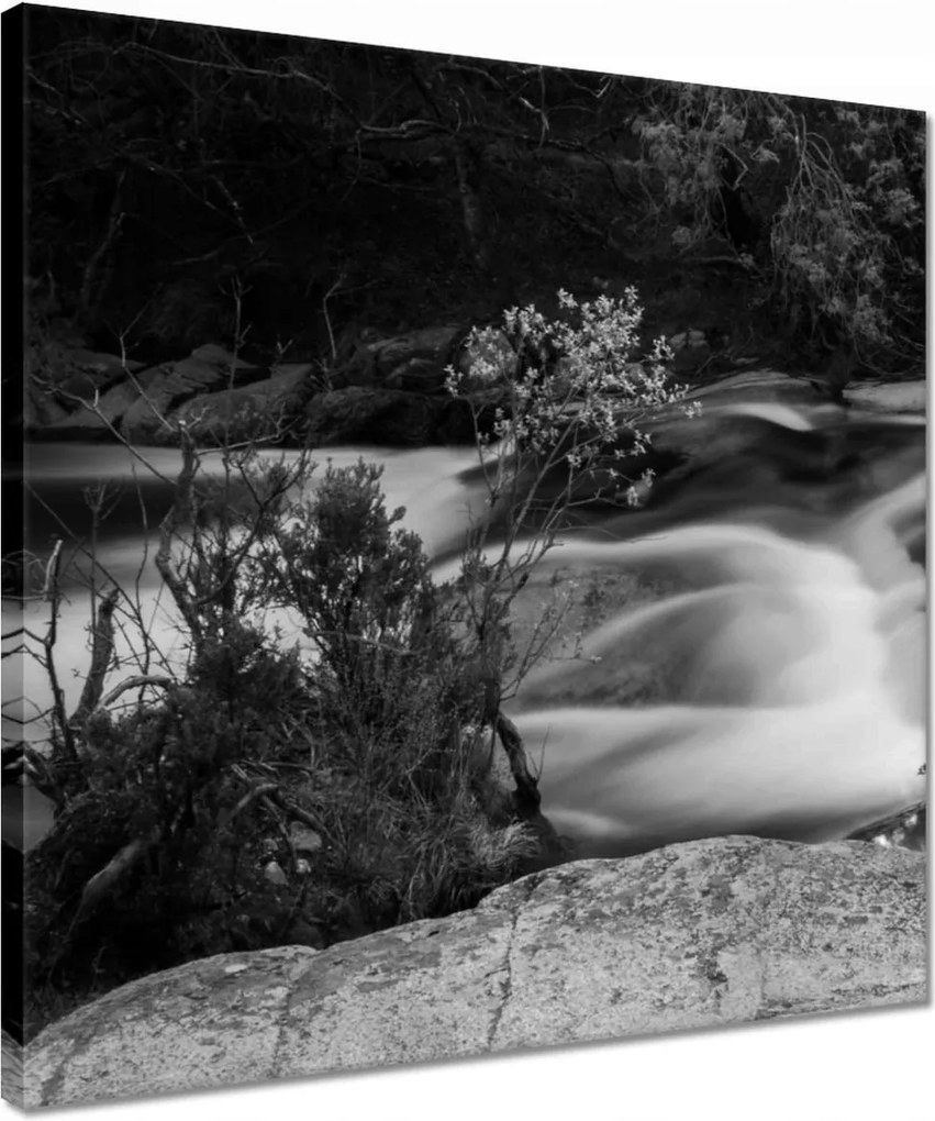 Vászonkép 40x40 Hosszú folyó az erdőben