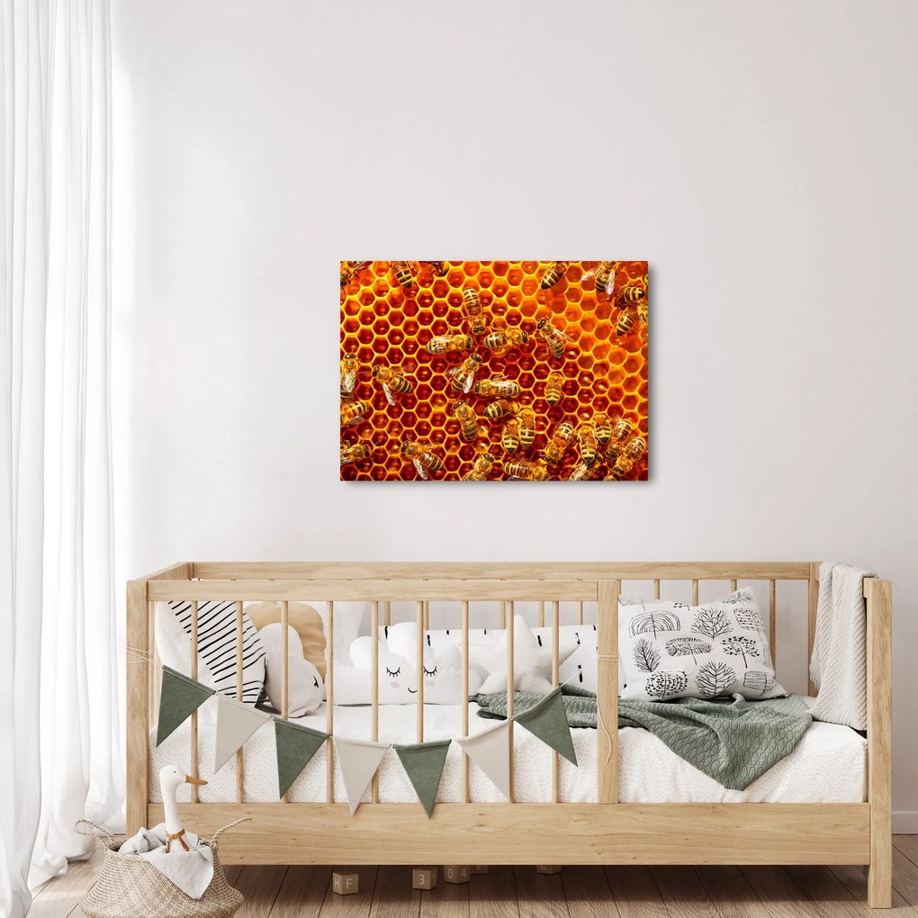 Kép - Méhsejtes (70x50 cm)