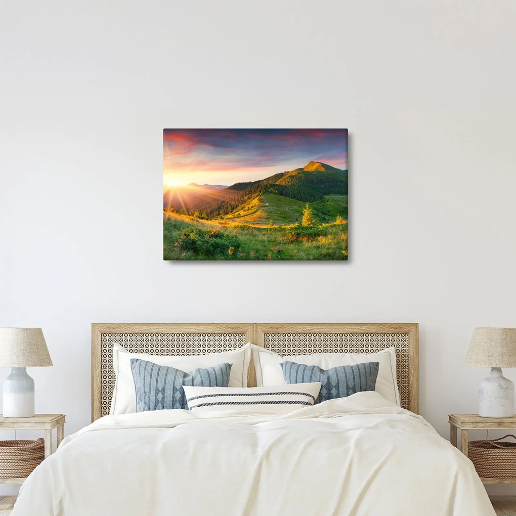 Kép - Nyári táj (70x50 cm)