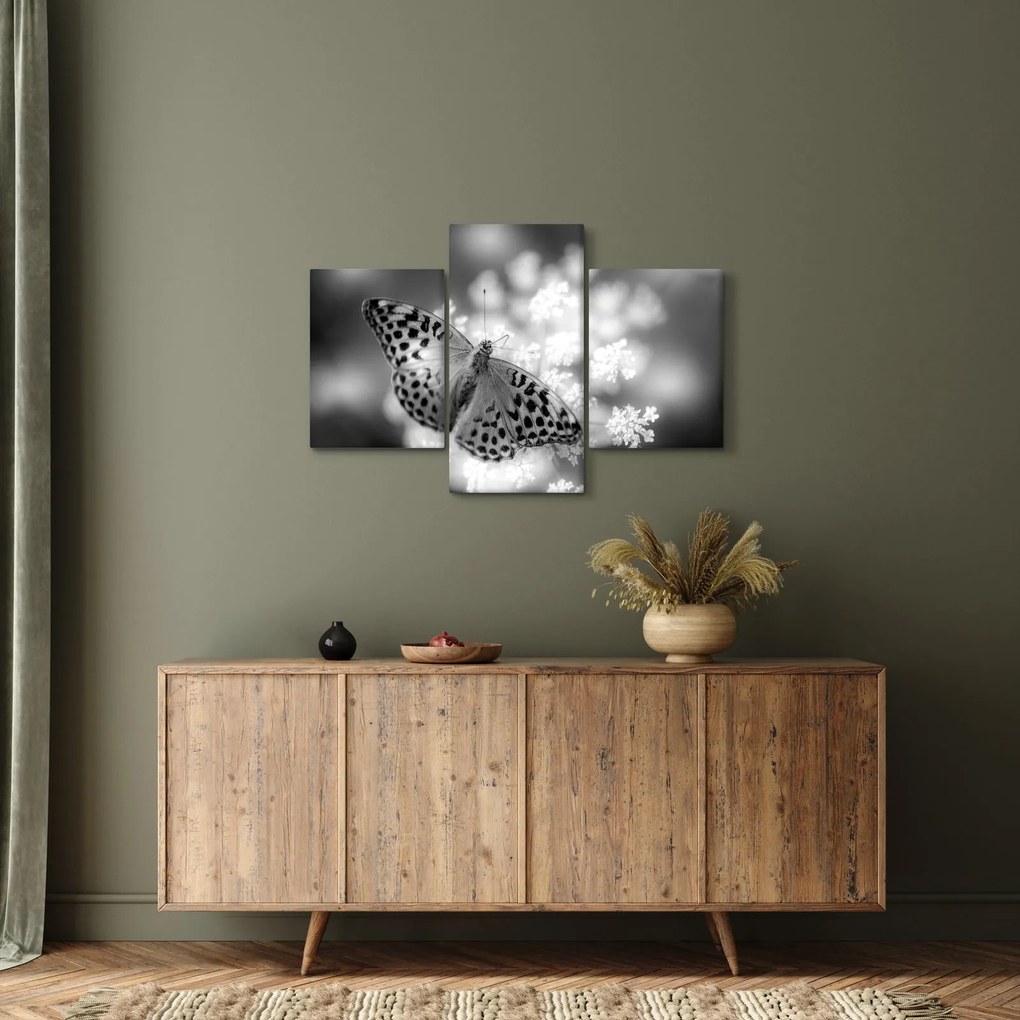 Kép - Részlet egy virágot beporzó pillangóról (90x60 cm)