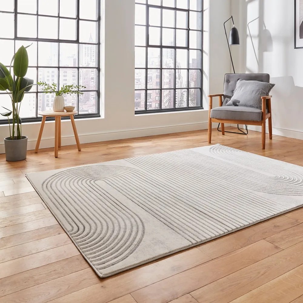 Szürke-bézs szőnyeg 170x120 cm Apollo - Think Rugs
