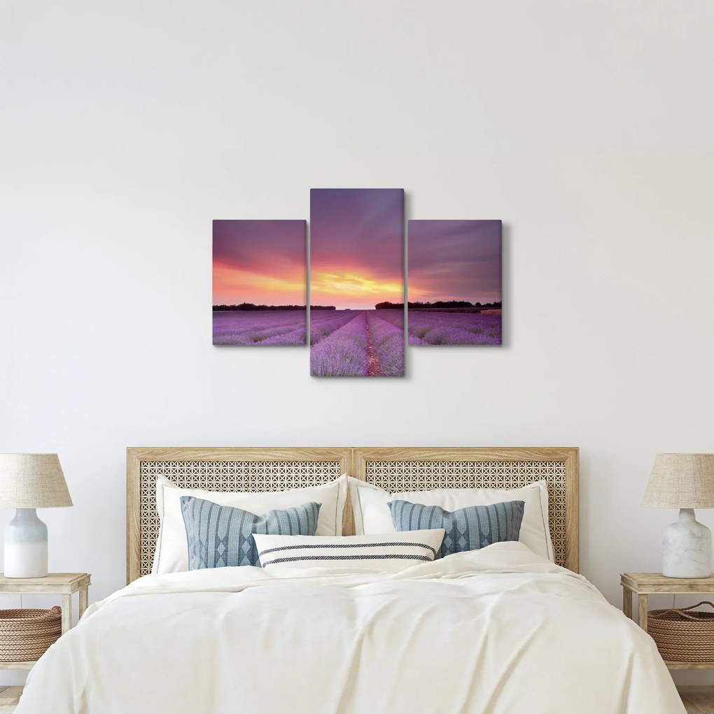 Kép - Levendula mező (90x60 cm)