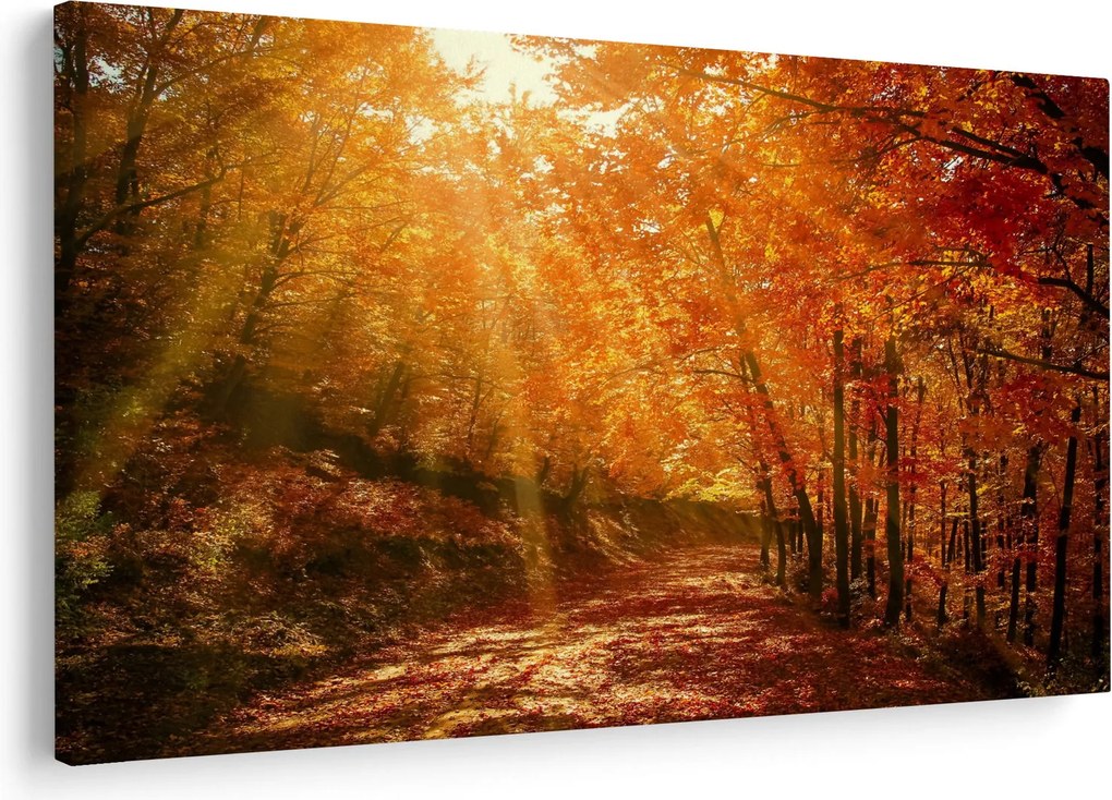 Őszi erdő képe (90x60 cm)