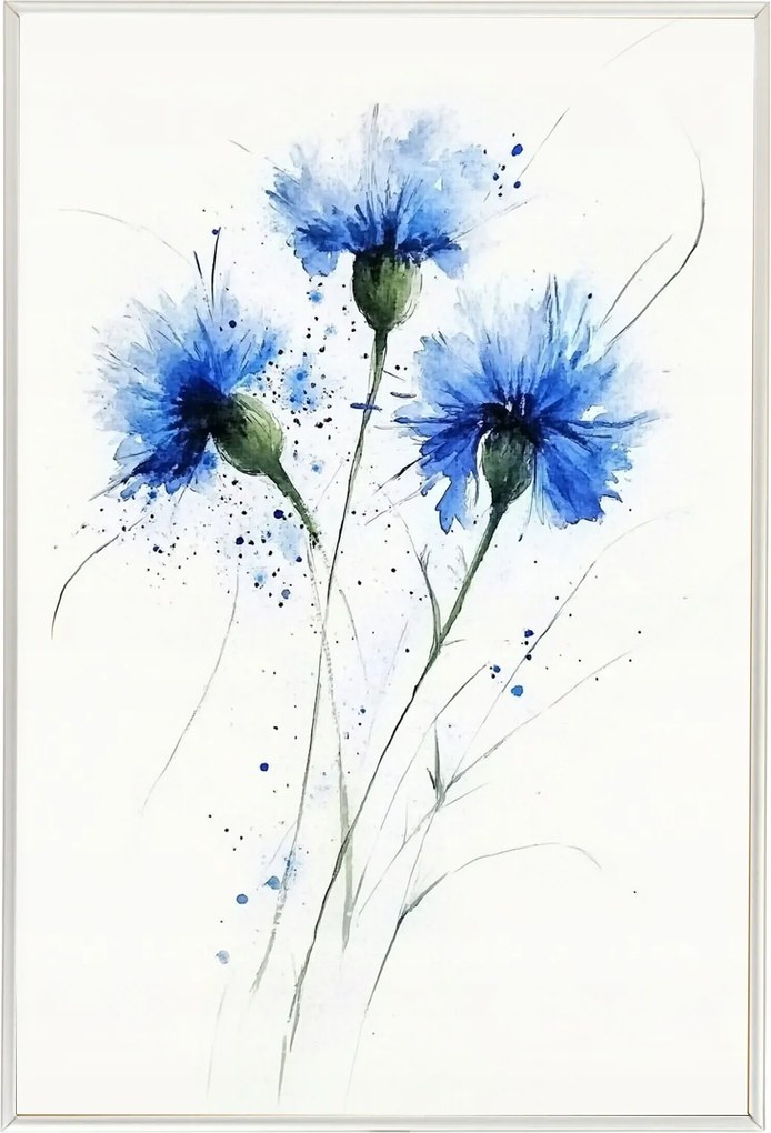 Poszter Alumínium Keret Akvarell Természet Mező Virág Kukorica Búzavirág 40x60