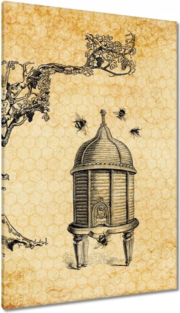 Vászonkép 80x120 Méz Méhészet