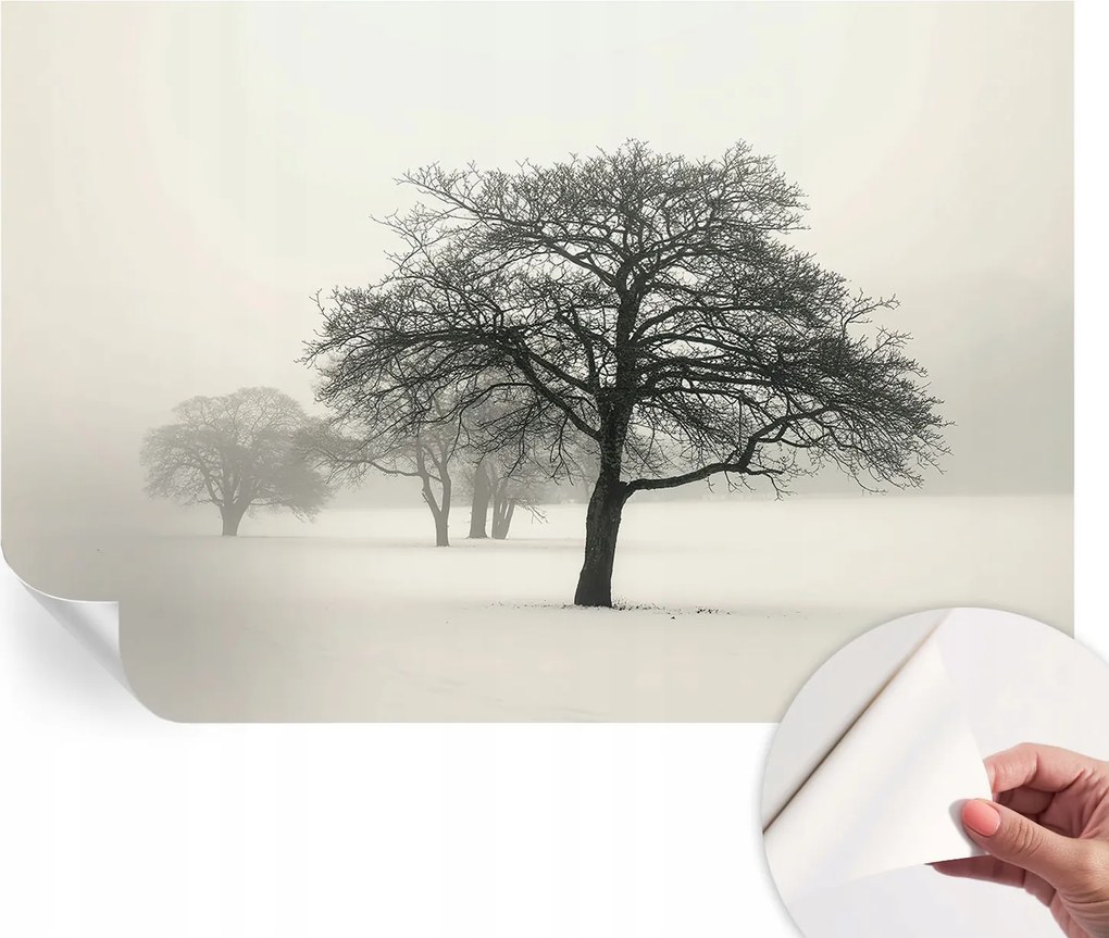 Öntapadós Dekoratív Fotótapéta Hálószobába Téli fák 104x70 cm