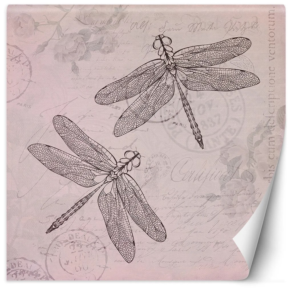 Gario Fotótapéta Szitakötok rózsaszín háttéren - Andrea Haase Anyag: Vlies, Méret: 150 x 150 cm