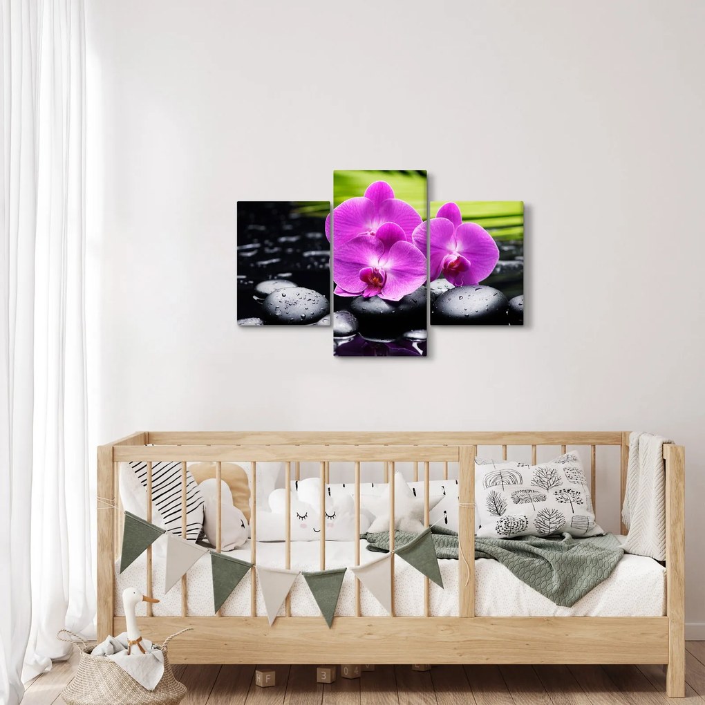 Kép - Orchideák (90x60 cm)