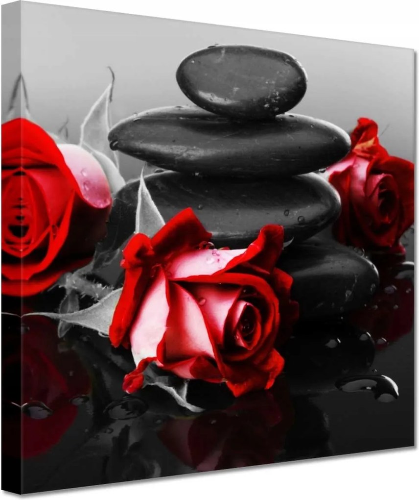 Vászonkép 20x20 Vörös rózsák Kövek