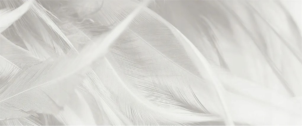 Dekoratív Fotótapéta Flizelin a Hálószobába Finom tollak 250x104