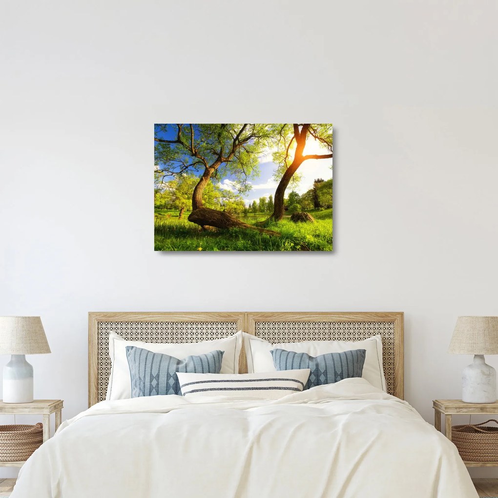 Kép egy tavaszi rétről (üvegen) (70x50 cm)