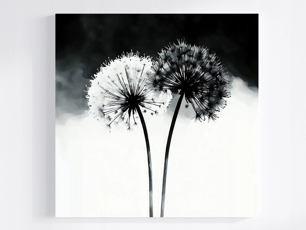 Vászonkép Canvas Grafika Modern Virágok Pitypang Fekete Fehér 40x40