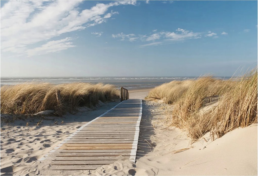 Flizelin tapéta Divatos 3D fali ragasztóval Tengeri ösvény 152x104 Ragasztó