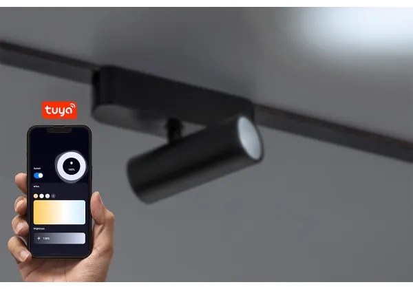 Rabalux 70125 - LED Dimmelhető spotlámpa 1 fázisú sínrendszerhez LiTrack LED/5W/24V