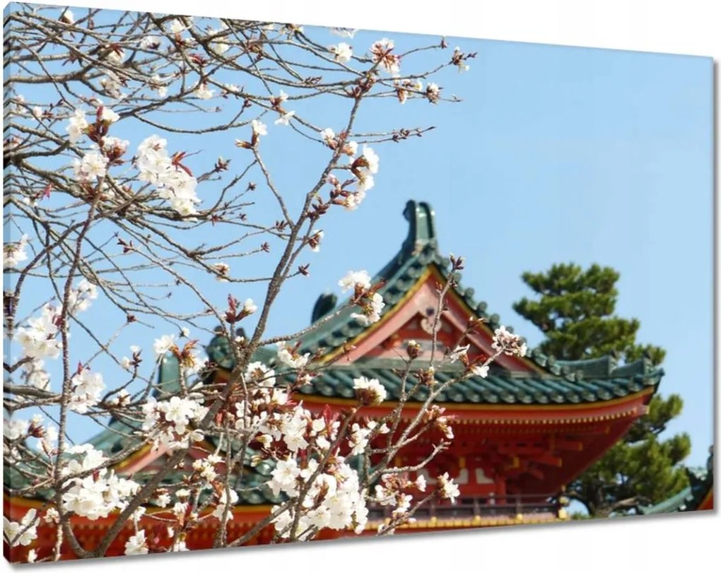 Vászonkép 100x70 Virágzó cseresznye Japánban