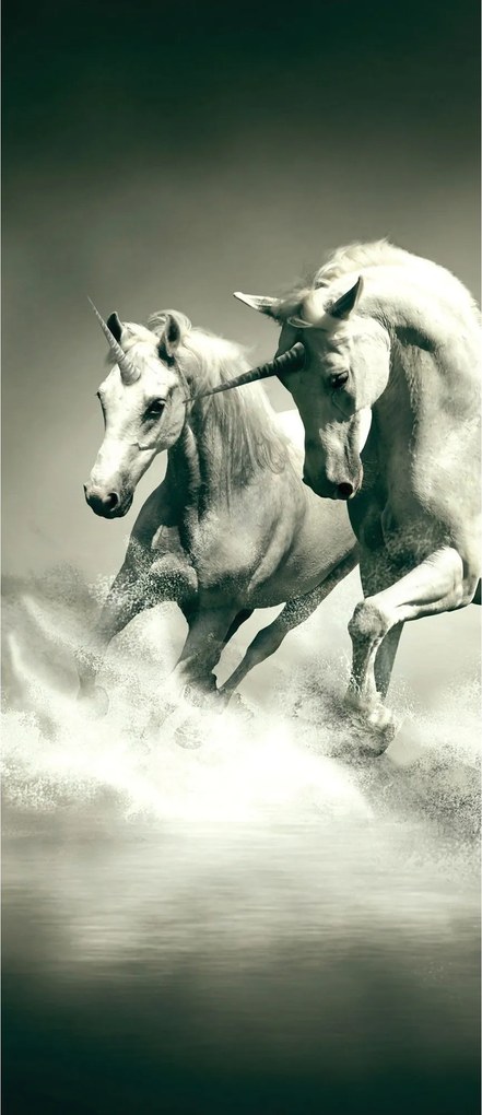 Matrica Fotótapéta Lovak Unikornisok Galopp Szabadság Fantázia 91x211