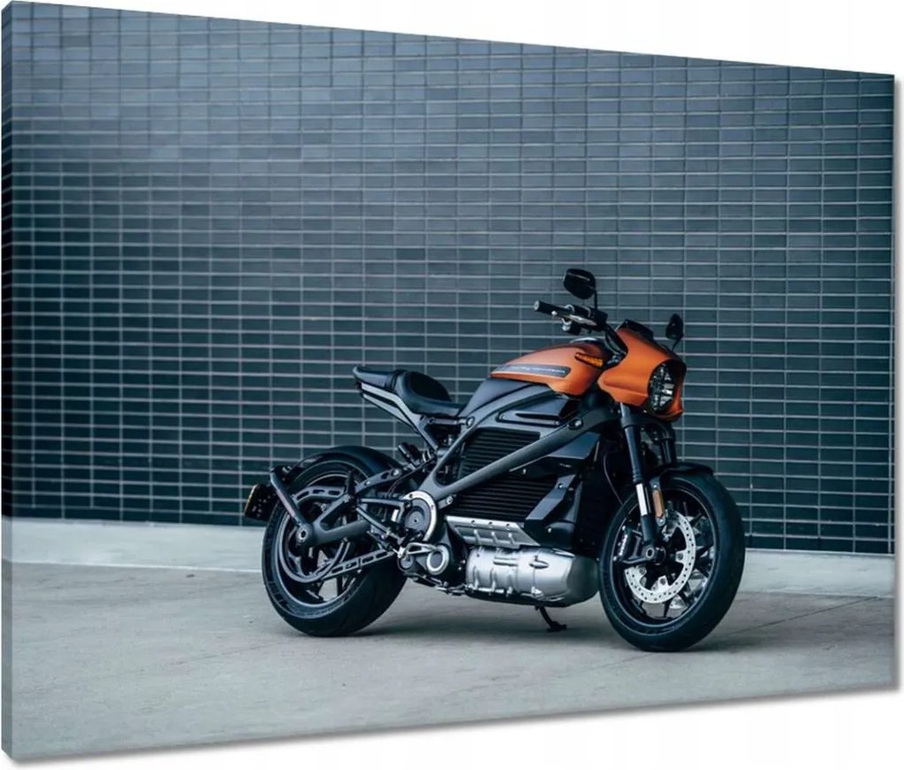 Vászonkép 80x60 Harley Davidson Motorkerékpár