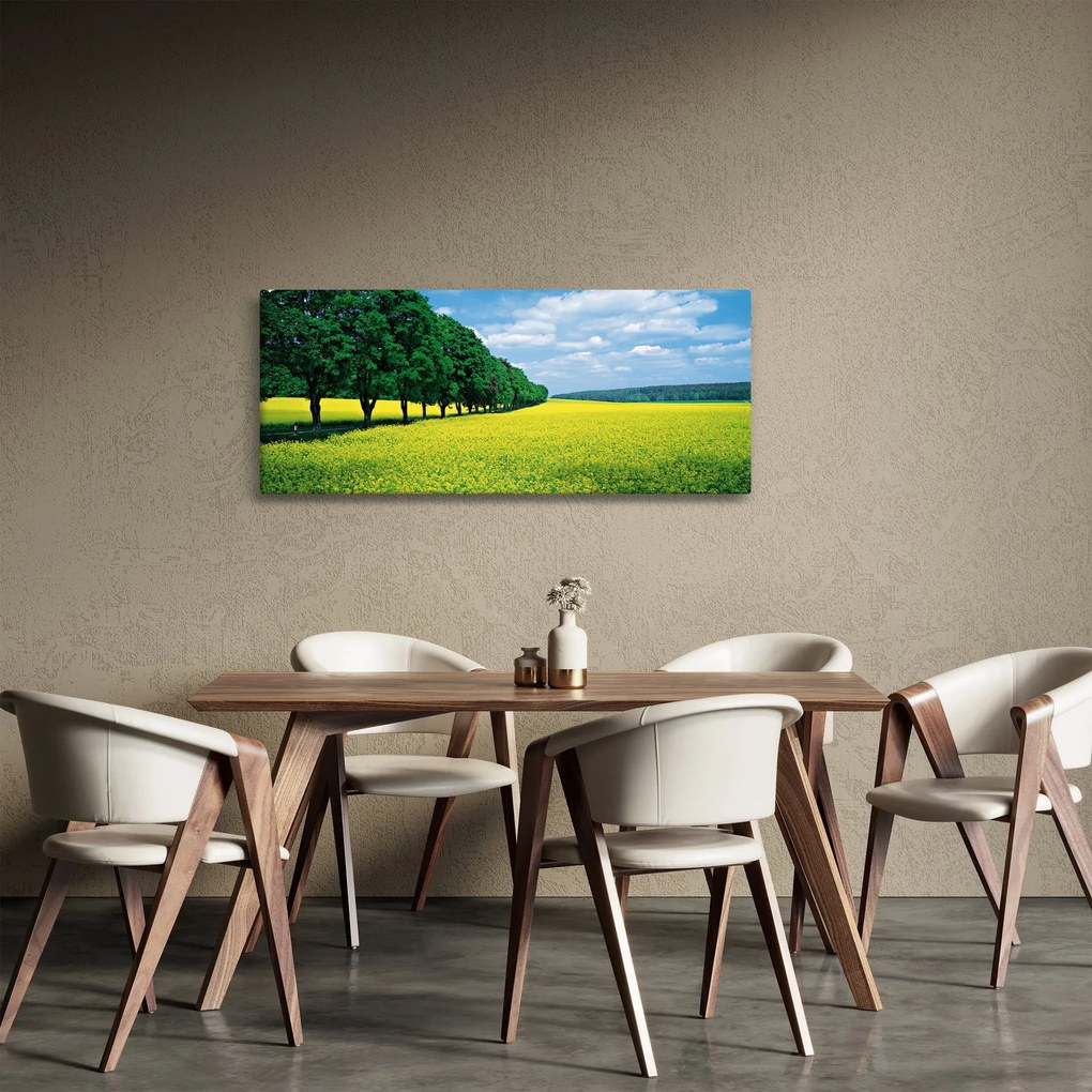 A mező képe egy sikátorral (120x50 cm)