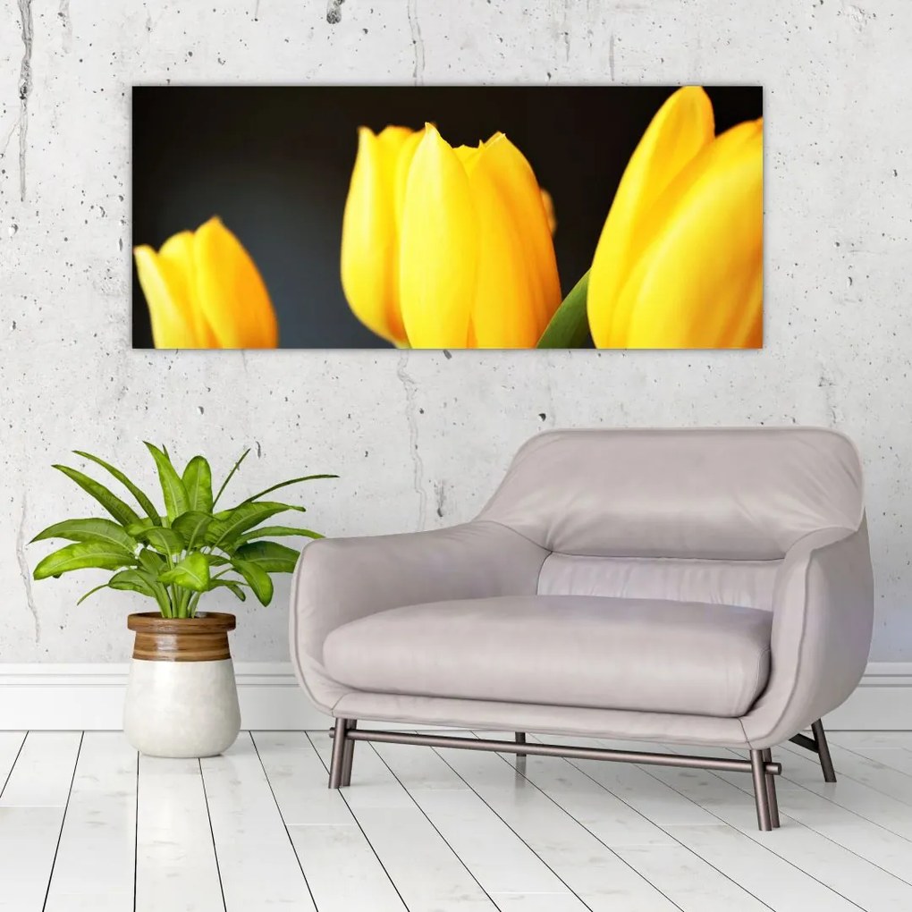 Tulipán képe (120x50 cm)