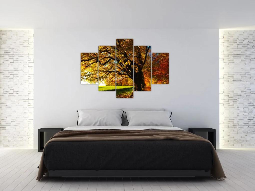 Egy őszi fa képe (150x105 cm)
