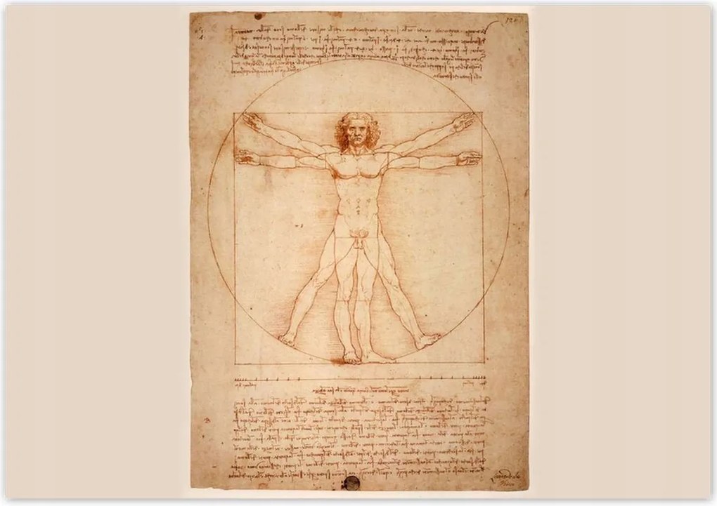 Poszterek 100x70 A vitruviusi ember