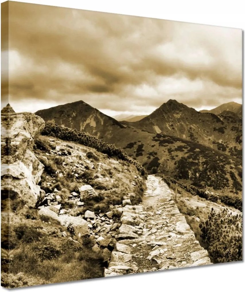 Vászonkép 30x30 Tátra Lengyel hegyek Kilátás