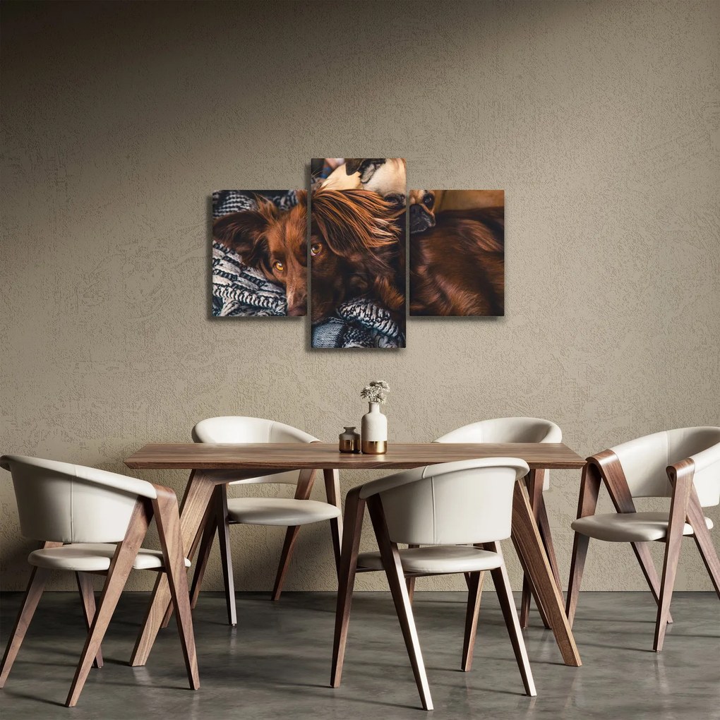 Egy kép fekvő kutyákról (90x60 cm)