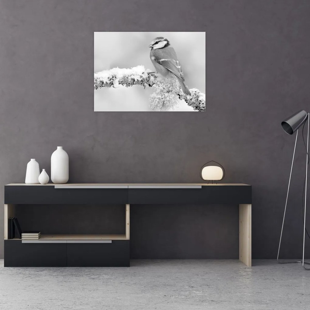 Kép - Egy madár egy ágon (70x50 cm)