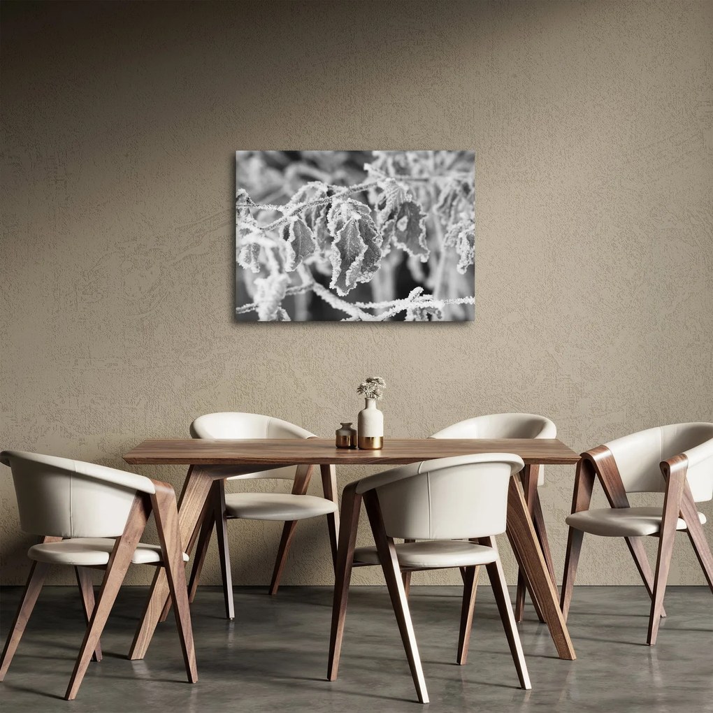Kép - Fagyott levelek, fekete-fehér (70x50 cm)