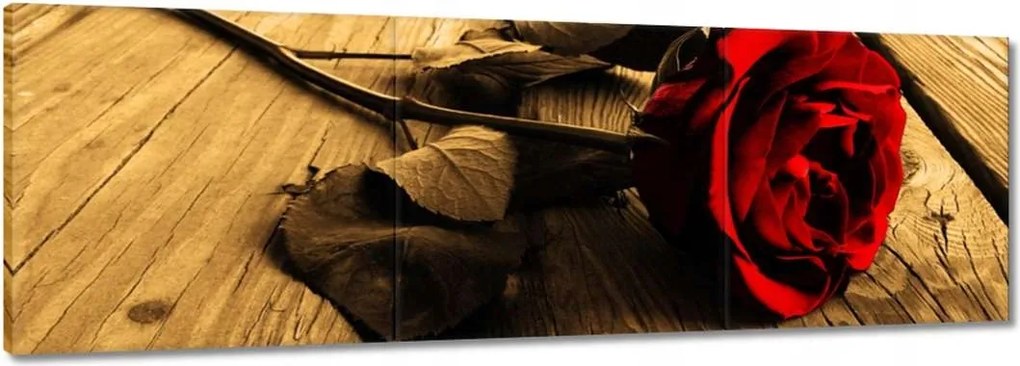 Vászonkép 60x20 Rózsa szépia deszkákon