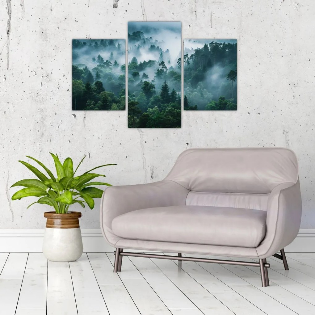 Kép - Erdő ködben (90x60 cm)