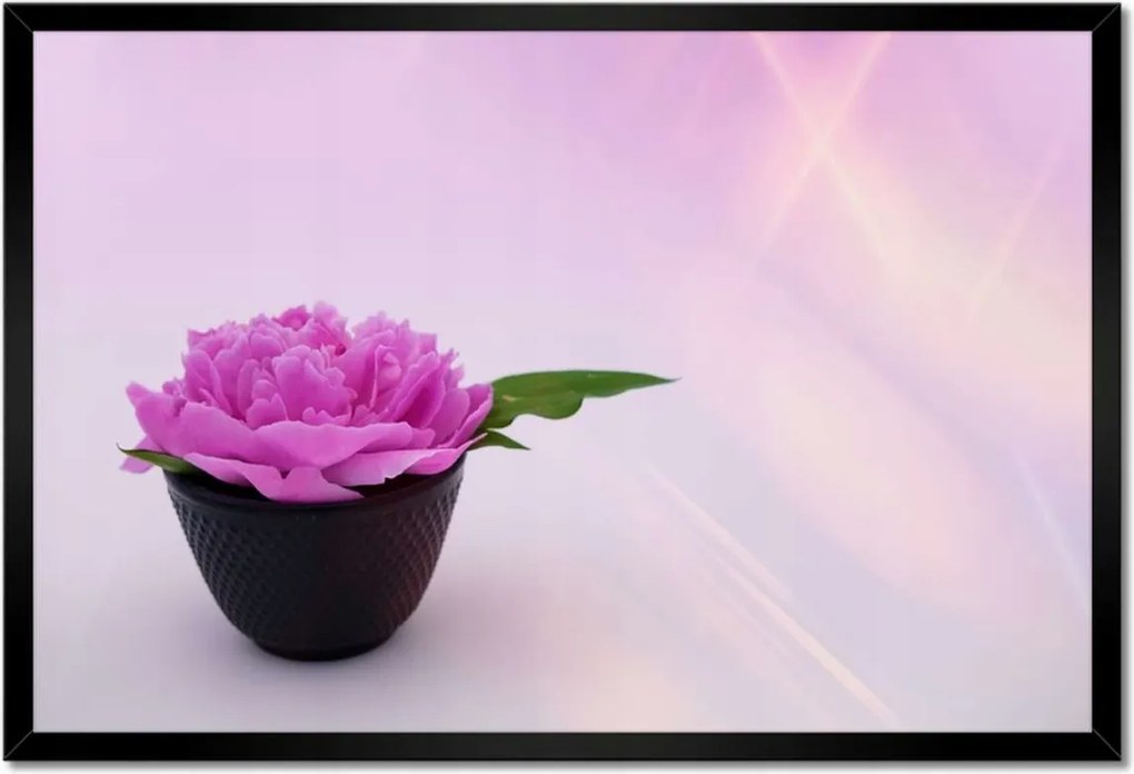 Poszter keretben 60x40 Spa Wellness Virág