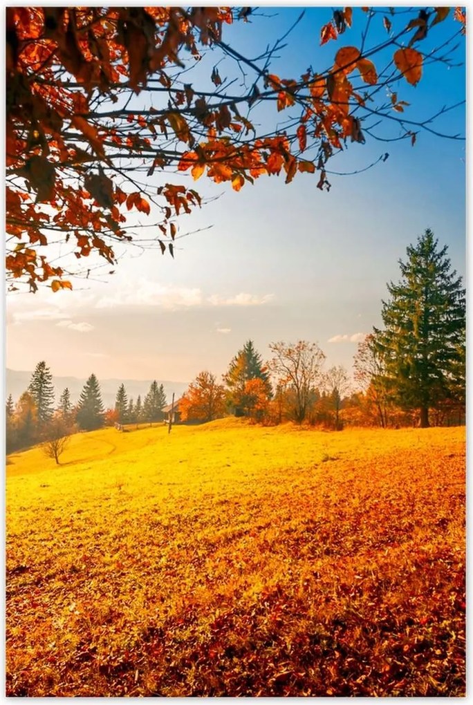 Poszterek 80x120 Őszi táj hegyek