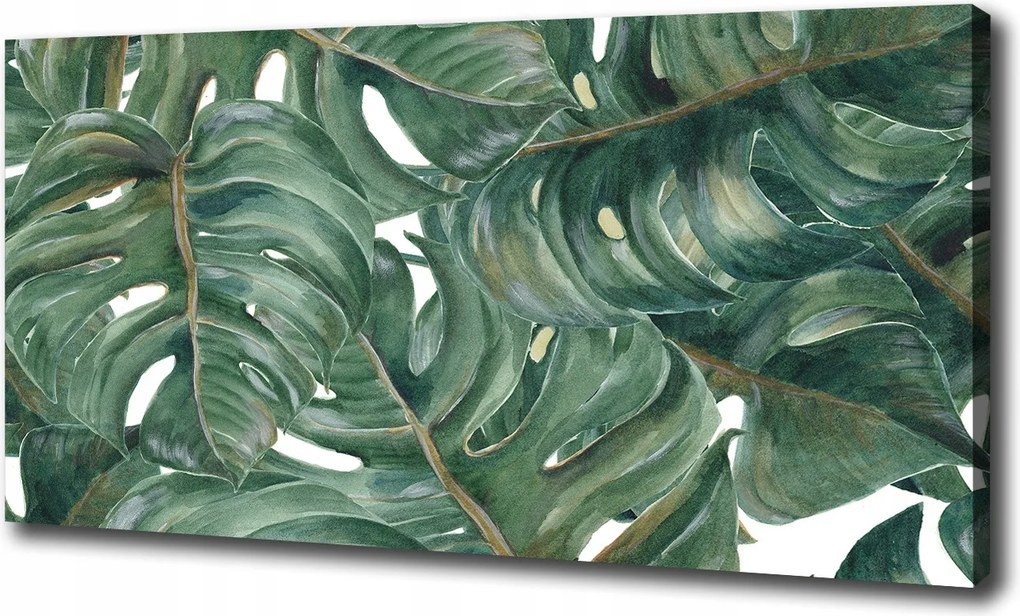 Canvas falikép Monstera 100x70 cm