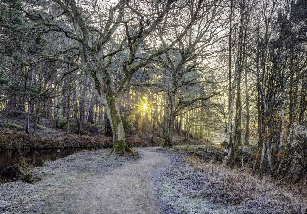 Poszter 66,5x46,5cm Vidéki csatorna fákkal és ösvényrel, Assaf Frank