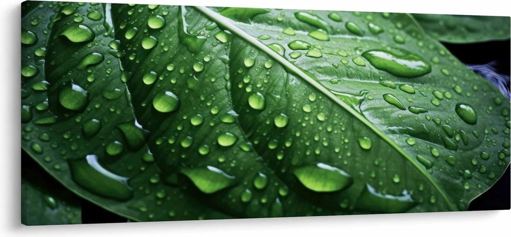 Kép - Részlet levél eső után (120x50 cm)