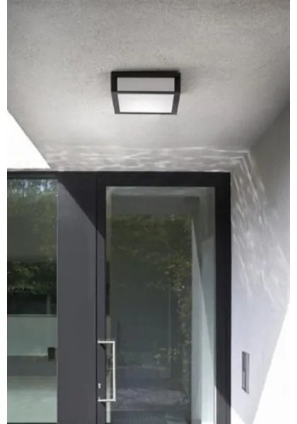 Philips - Kültéri mennyezeti lámpa SKIES 2xE27/14W/230V IP44 antracit