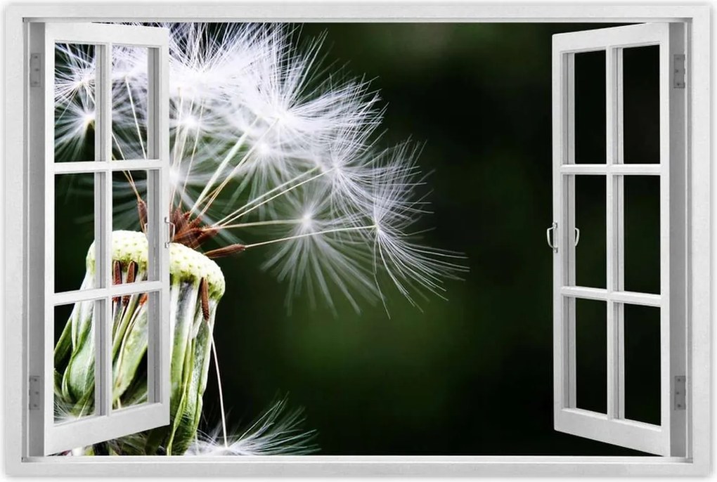 Poszterek 120x80 Pitypang Virág Virágok