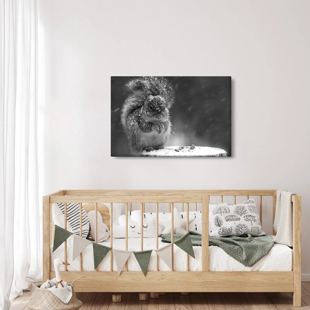 Kép - Mókus télen (90x60 cm)