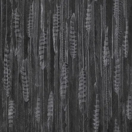 Vinyl tapéta flizelin tollak grafitszürke Bn fényes 10 m