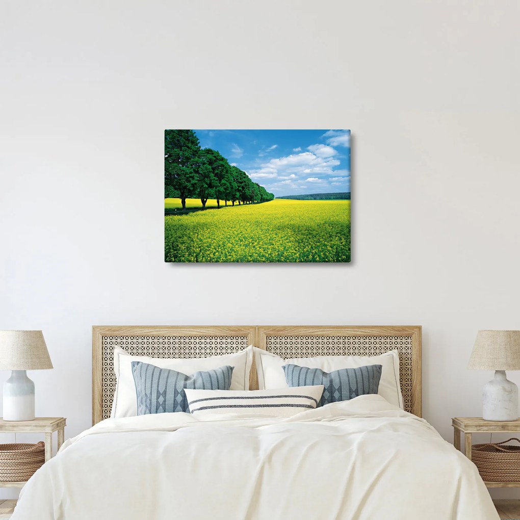 A mező képe egy sikátorral (70x50 cm)
