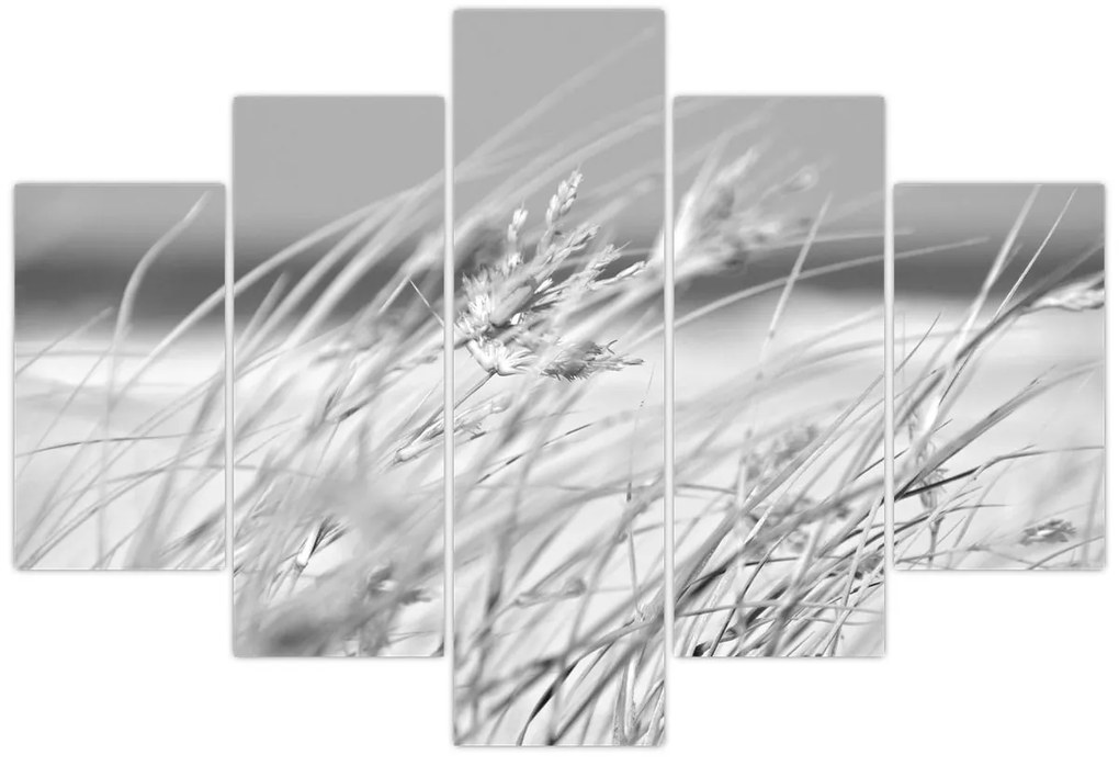 Kép - Strandfű (150x105 cm)
