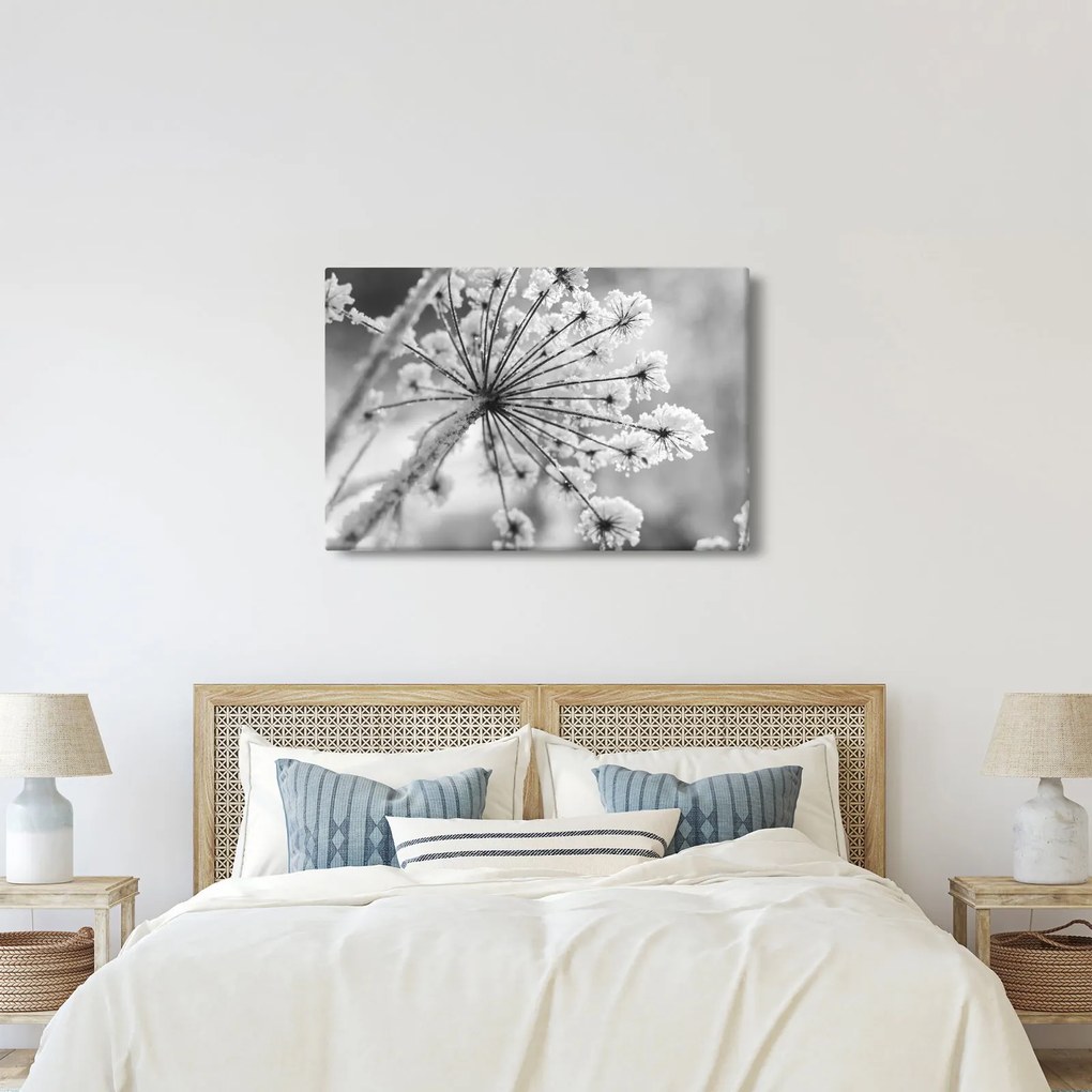 Kép - Virág télen (90x60 cm)