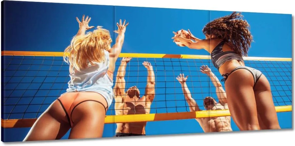 Vászonkép 150x70 Strandröplabda