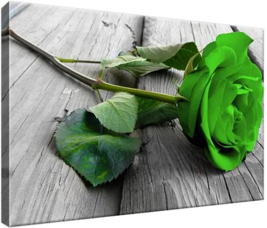 Vászonkép Zöld citrom rózsa a padlón 30x20cm 2187A_1T