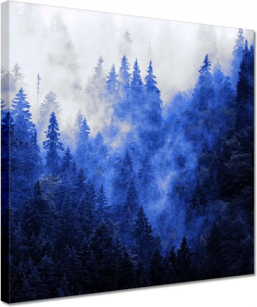 Vászonkép 30x30 Kék táj Hegyek