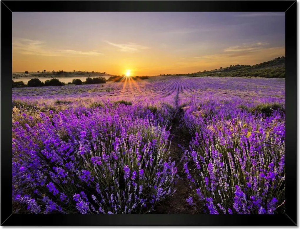 Poszterek keretben 40x30 Levendula tájkép Nap