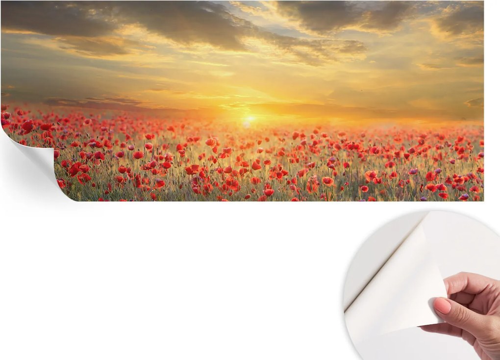 Dekoratív öntapadós fotótapéta Hálószobába pipacs mező 250x104 cm