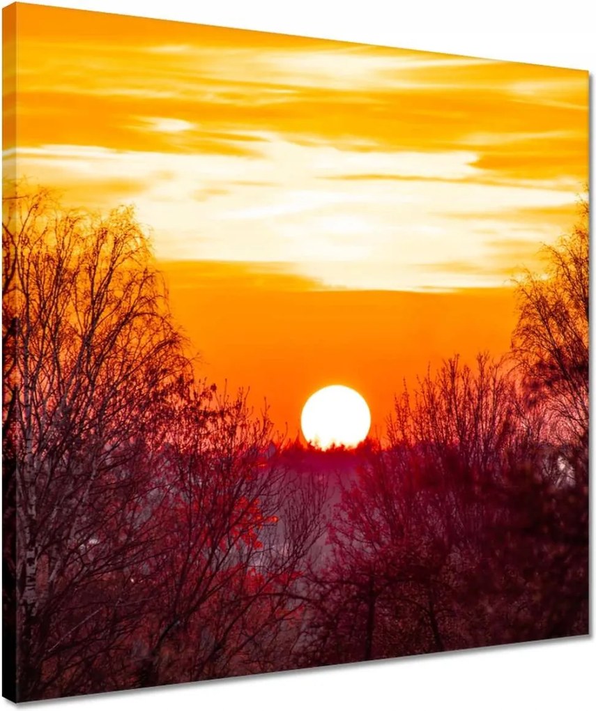 Vászonkép 40x40 Kilátás Tájkép